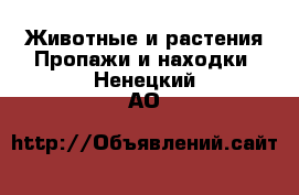 Животные и растения Пропажи и находки. Ненецкий АО